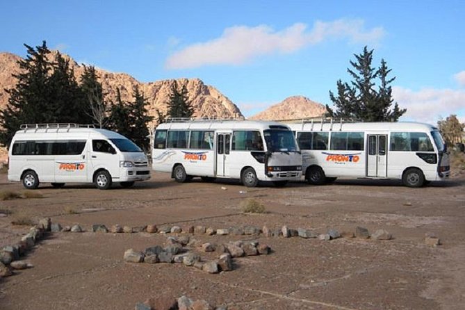 Full-Day Giza Pyramids, Egy. Museum, the Hanging Church and Ben Ezra Synagogue - Additional Info