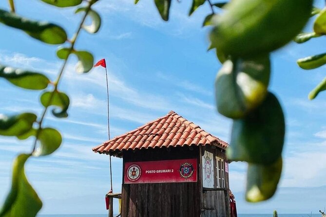 Full Day Guided Beach Tour in Rio De Janeiro - Additional Information