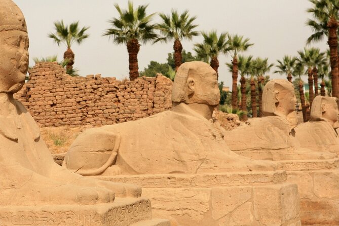 Full Day Guided Group Bus Tour To Luxor From El Gouna - Contact Information