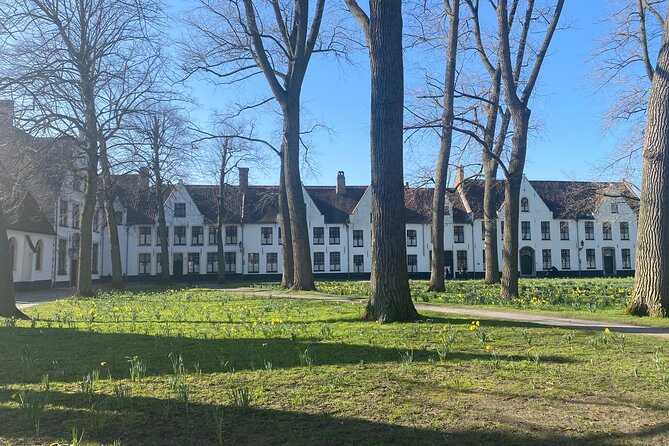 Full Day Guided Tour to Bruges by Train From Brussels - Traveler Guidelines