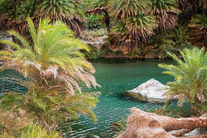 Full-Day Guided Tour to Preveli Tropical Beach and Palm Forest - Booking Details