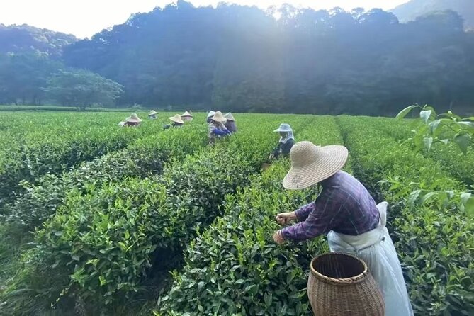 Full-Day Historical Tour in Hangzhou With Pickup - Directions and Tour Itinerary
