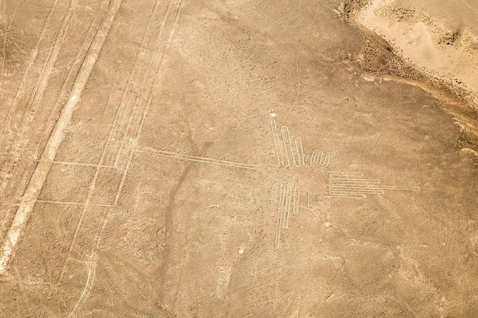 Full Day Huacachina - Nazca Lines - Tips for Travelers