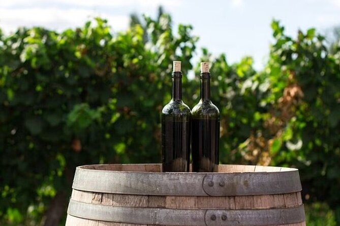 Full Day Korcula and Peljesac Wine Tasting Tour in Dubrovnik - Return Journey and Drop-off