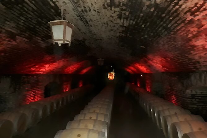 Full Day Maipo Valley - Two Wineries Private Tour - Booking Information