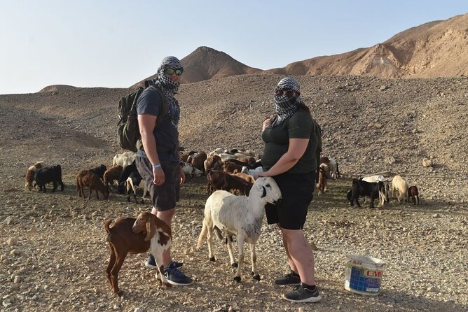 Full-Day Marsa Alam Guided Moto Safari With Pick up - Important Information