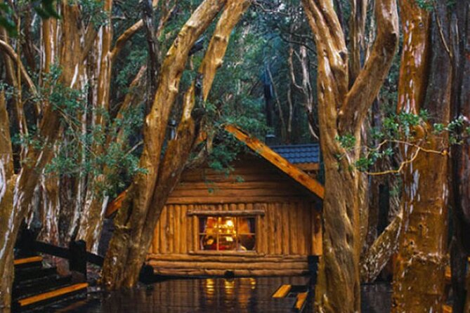 Full Day Navigation Through Isla Victoria and Bosque De Arrayanes - Pricing and Operator