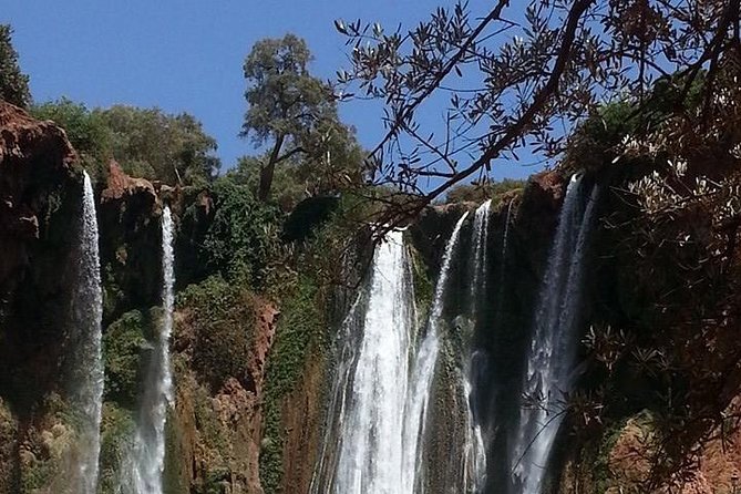 Full-Day Ouzoud Falls Guided Sightseeing Tour From Marrakech - Booking Information