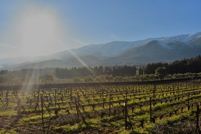 Full-Day Private Bekaa Valley Wine Tour From Beirut - Pricing and Booking