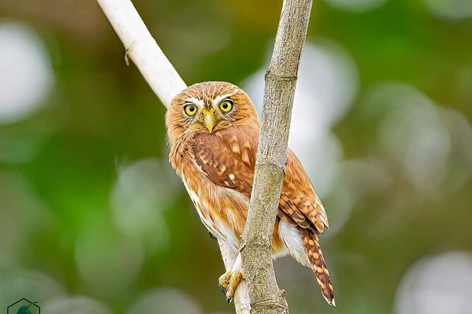 Full Day Private Churute Mangroves Reserve and Cocoa Farm Tour - Reviews