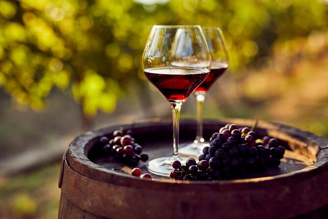 Full-Day Private Ephesus Tour With Wine Tasting From Kusadasi - Wine Tasting Experience