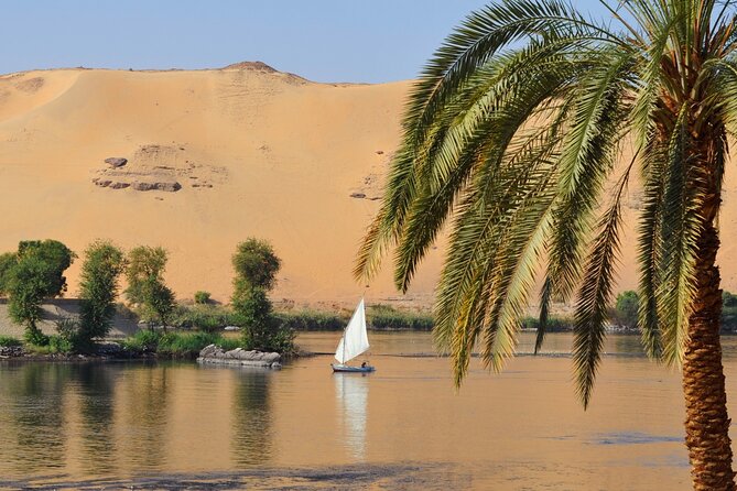 Full-day Private History Tour in Aswan - Participant Requirements