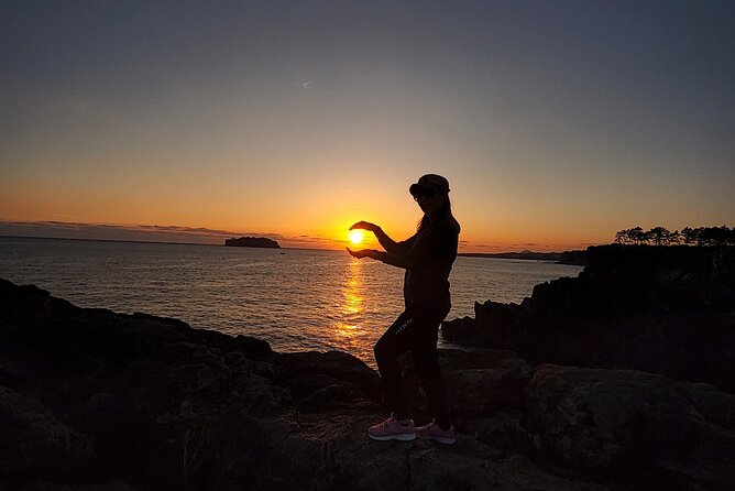 Full-Day Private Jumbo Taxi Tour - East of Jeju Island (Unesco) - Booking Process