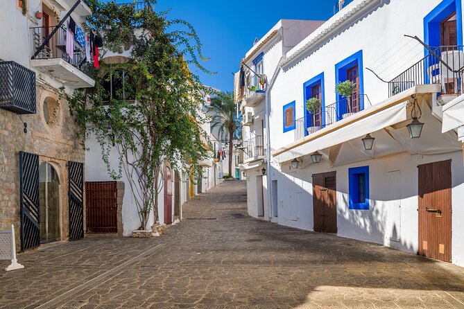 Full Day Private Shore Tour in Ibiza From Ibiza Cruise Port - What To Expect