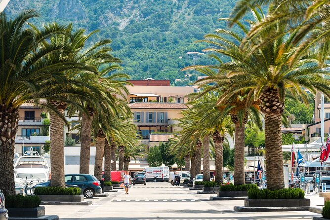 Full Day Private Shore Tour in Tivat From Kotor Cruise Port - Frequently Asked Questions