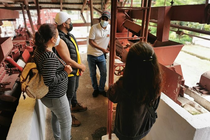 Full Day Private Tour Flower Route and Coffee Route - Inclusions and Pricing
