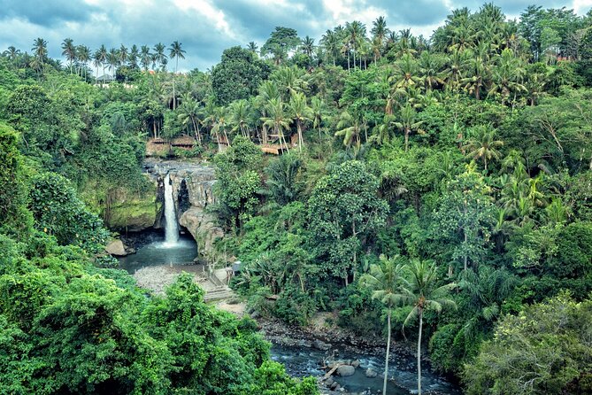 Full Day Private Tour of Bali Waterfalls: Tibumana, Tukad Cepung - The Sum Up