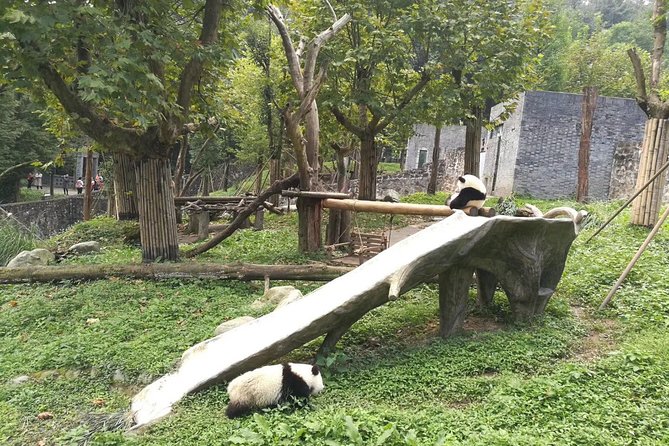 Full-Day Private Tour of Chengdu and Panda Base With Lunch - Cancellation Policy