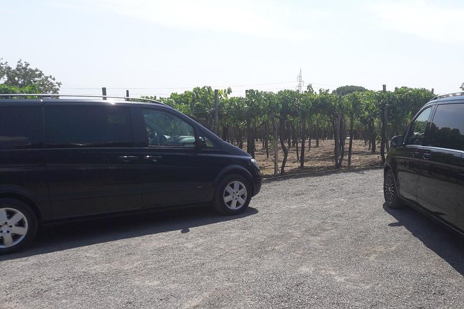 Full-Day Private Tour of Pompeii Sorrento and Positano - Pricing and Booking Information