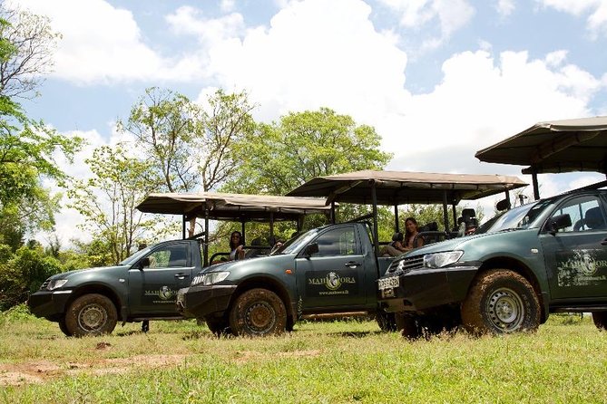 Full Day Safari at Wilpattu With Picnic Breakfast and Lunch - Booking Information and Pricing