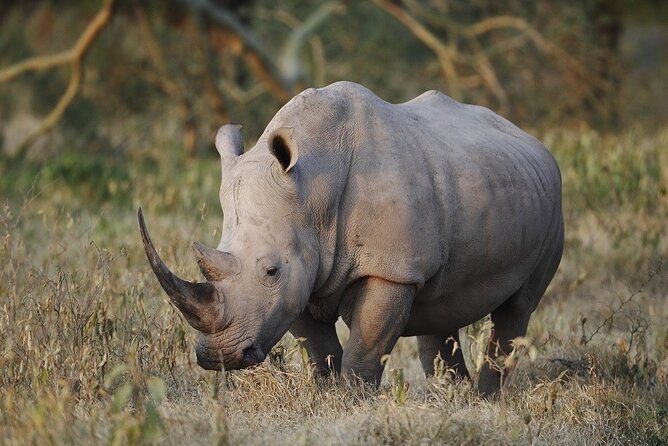 Full-Day Safari Tour to Ngorongoro Crater From Arusha - Booking Process