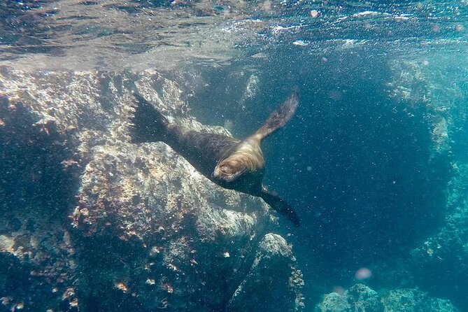 Full Day Santa Fe and Playa Escondida With Snorkeling and Lunch Included - The Sum Up