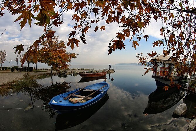 Full-Day Sapanca and MaşUkiye Tour With Lunch From Istanbul - The Sum Up