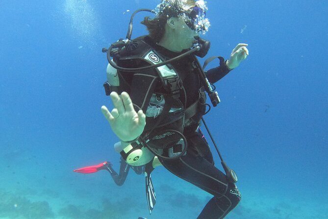 Full Day Scupa Diving and Snorkeling Sea Trip Activity - Hurghada - Important Reminders
