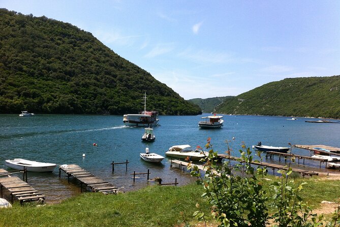 Full-Day Small-Group Tour in Istria - Booking Process