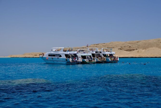 Full-Day Snorkeling Trip at Paradise Island in Egypt - Snorkeling Experience Highlights