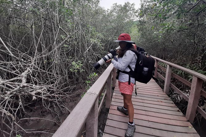Full Day to Ecological Reserve Churute Mangrove and Cacao Farm Visit - Price and Booking Information