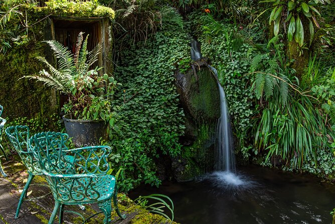 Full-Day Tour in Chiriqui Highlands With Lunch - Pricing and Policies