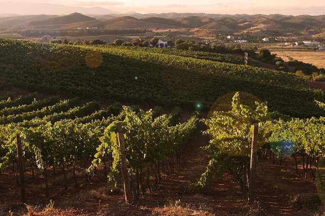 Full Day Tour in Silves With Wine Tasting - Small Group Experience
