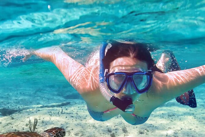 Full - Day Tour Mnemba Island With Baraka Aquarium - Health and Safety Guidelines