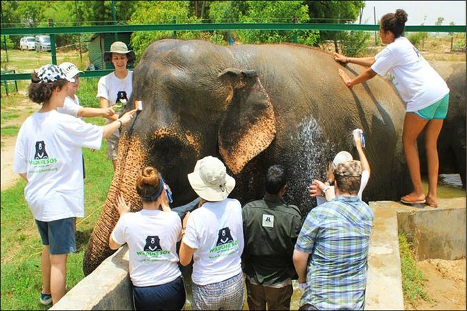 Full Day Tour of Elephant Conservation and Bear Rescue Center - Tour Itinerary