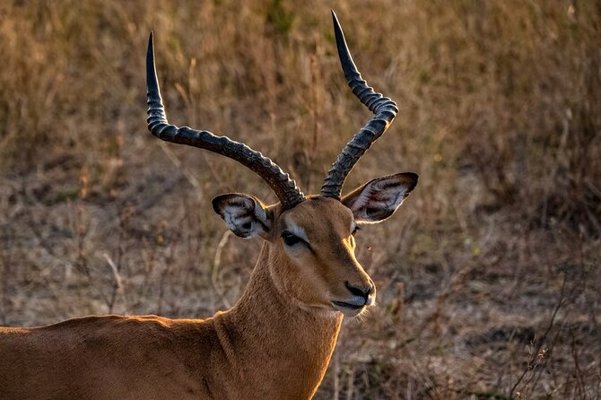 Full-Day Tour Safari Tarangire National Park - Directions and Logistics