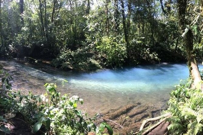 Full Day Tour Tubin Arenal La Fortuna Volcano Waterfall - Frequently Asked Questions
