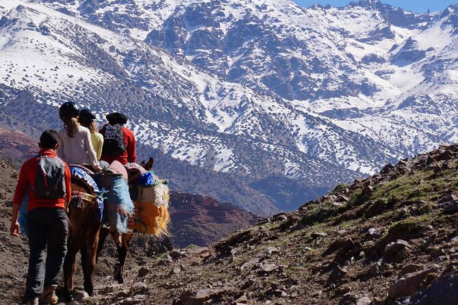 Full Day Trekker Tour in Toubkal National Park ( Toubkal Trek ) - The Sum Up
