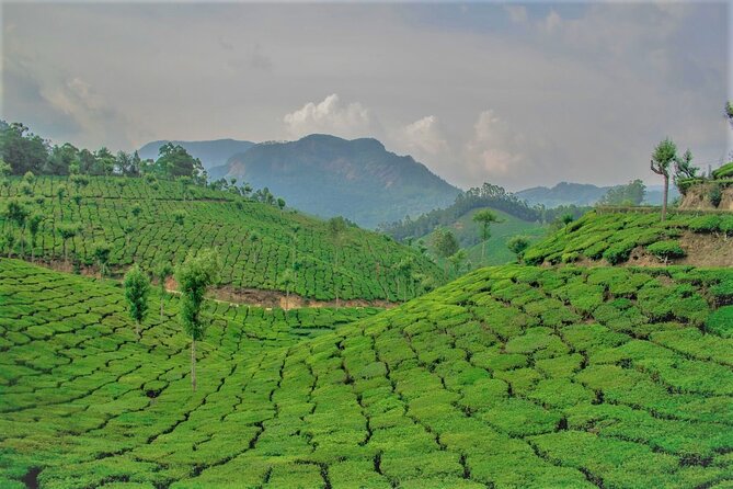 Full Day Trekking Tour In Munnar With Refreshments - Cancellation Policy