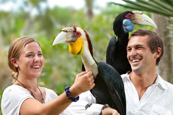 Full Day Trip Bali Bird Park And Kintamani - Pricing and Inclusions