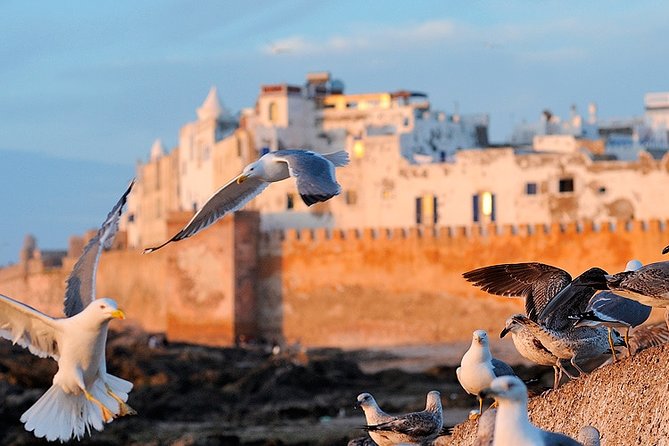 Full-Day Trip to Essaouira From Marrakech - Cancellation Policy