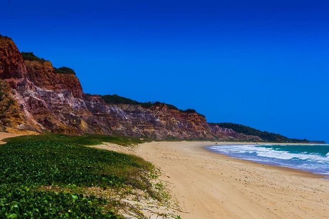 Full Day Trip to Gunga Beach From Maceió - How to Prepare