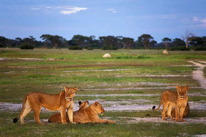 Full-Day Trip to Hwange National Park With Hotel Pickup - Booking and Payment Process