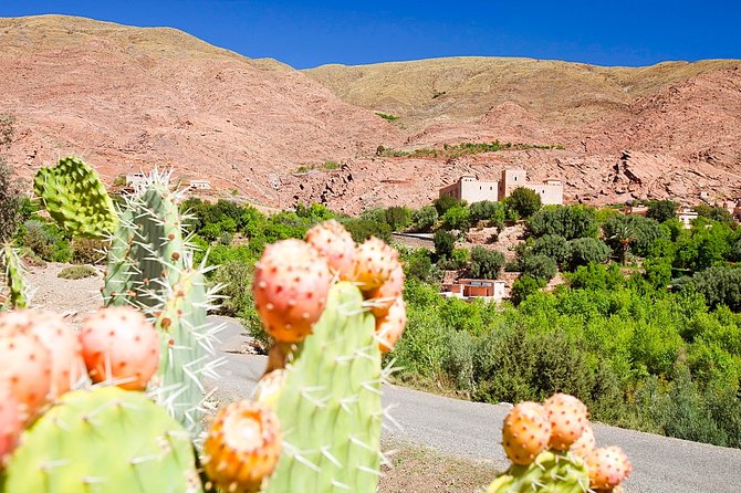 Full-Day Trip to Ouirgane Valley & Visit the 12TH Century Brick Built Mosque - Mosque Visit Details
