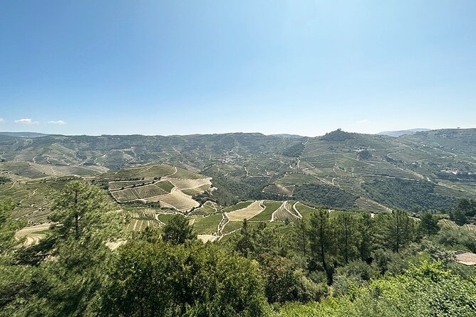 Full Day Wine Tour and River Cruise at Douro Valley - Additional Information