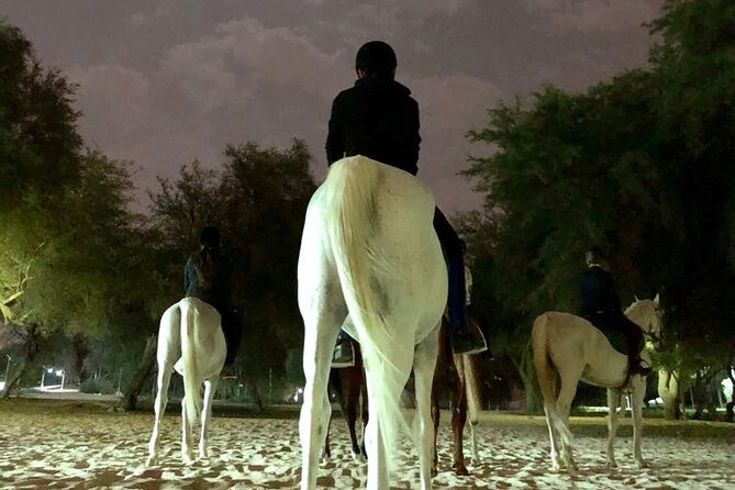Full Moon Horse Riding in Dubai - Additional Details to Note