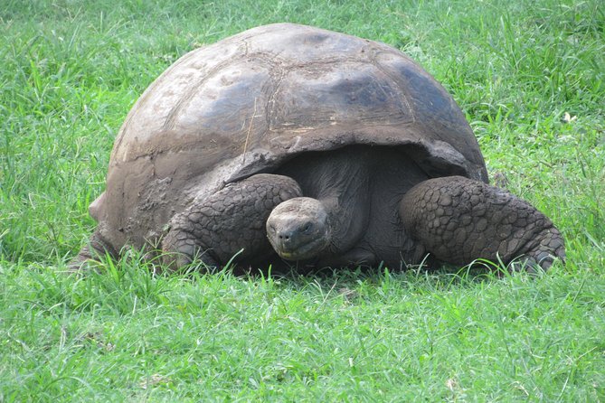 GALAPAGOS IDEAL (3Days) - Cancellation Policy