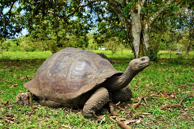 Galapagos Multisport Expedition 8 Days - Price and Booking Information
