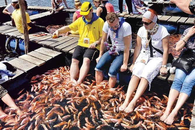 Galle Day Tour From Kalutara / Wadduwa - Pickup Details
