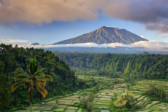 Gates of Heaven & Hidden Gems: Bali Insta Tour - Confirmation and Accessibility